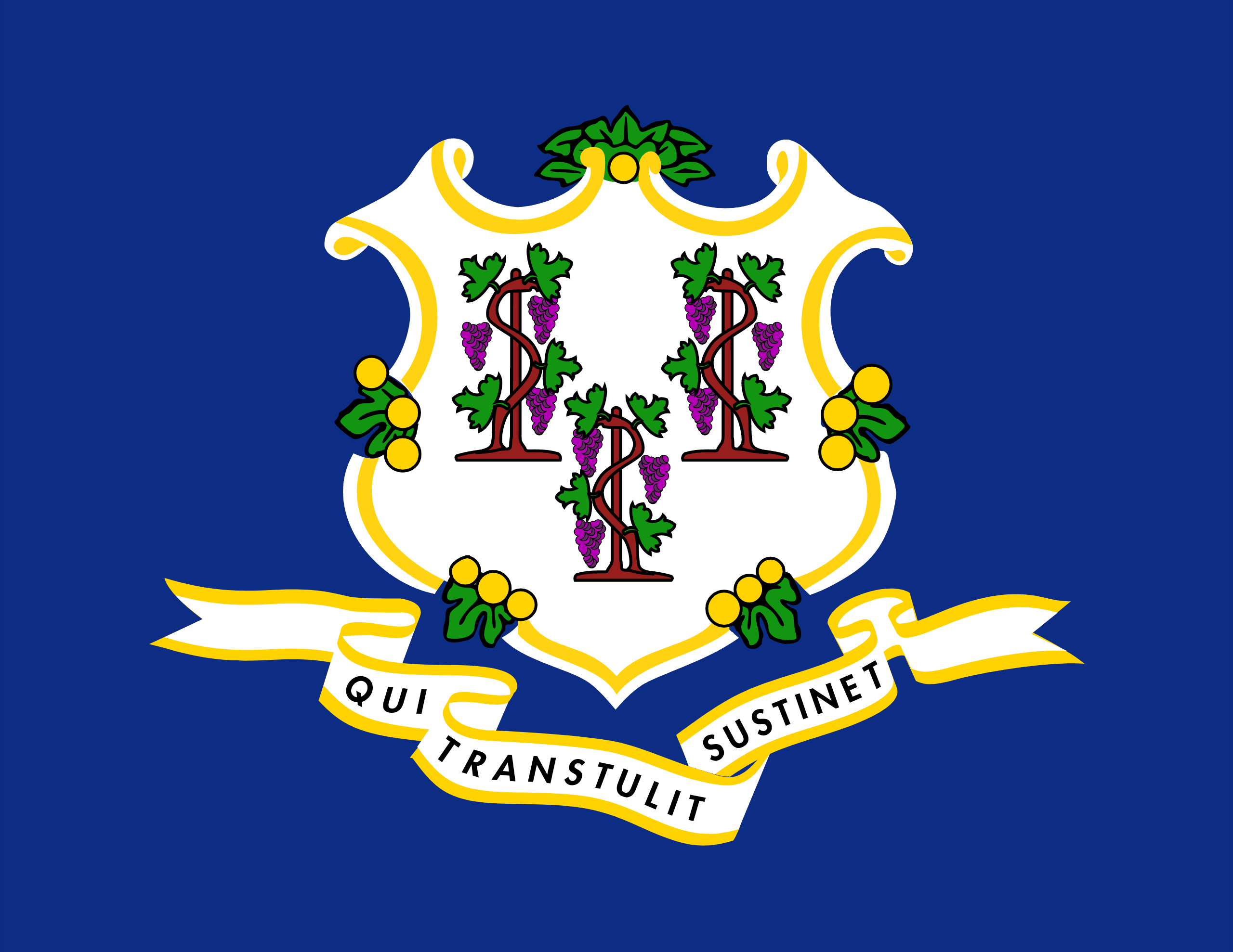 Connecticut VIN Check