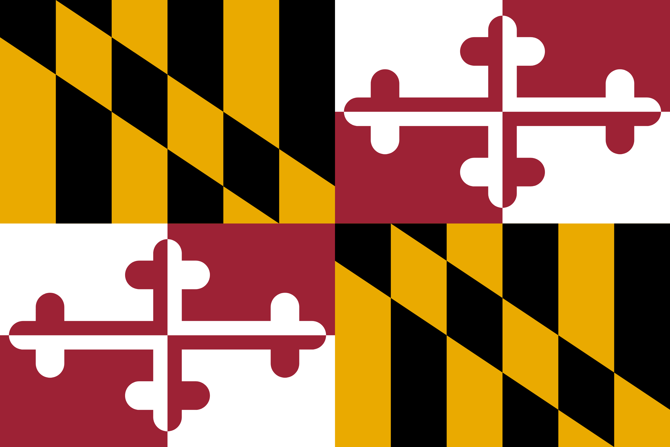 Maryland VIN Check