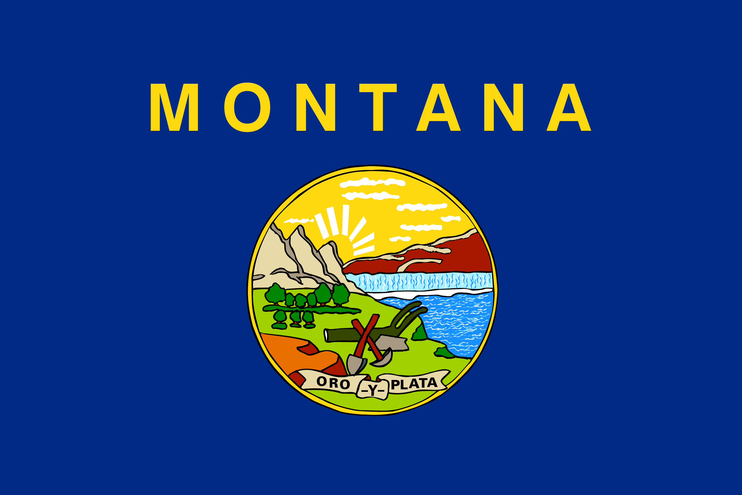 Montana  VIN Check