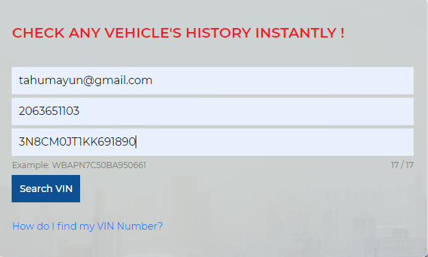 VIN Check Form