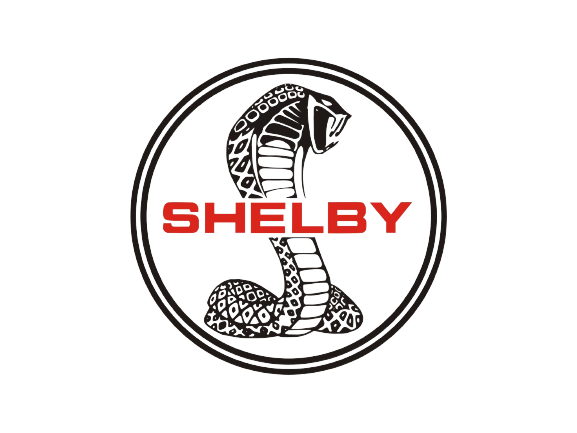 Shelby Vin Check