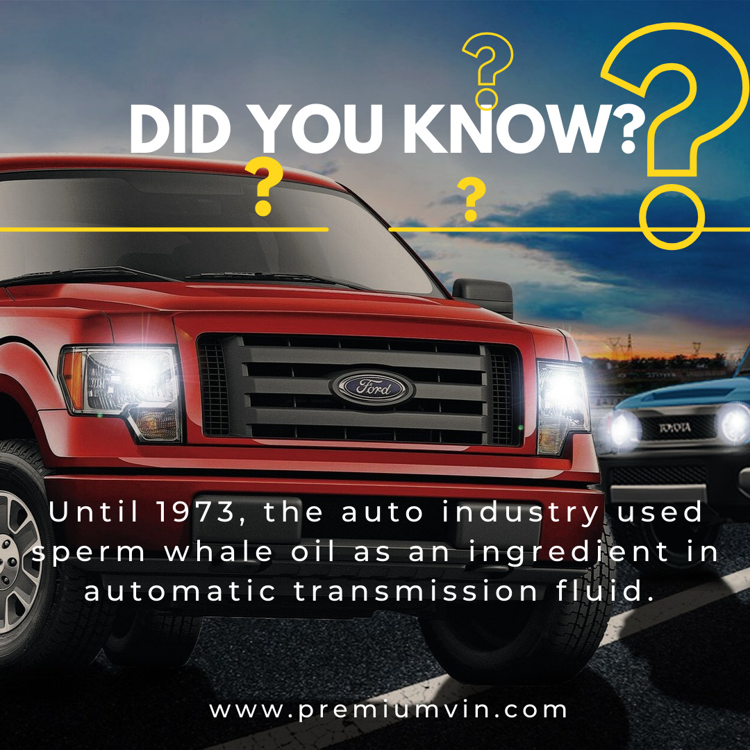 What Is The Average Horsepower (HP) Of A Car? - Premium Vin