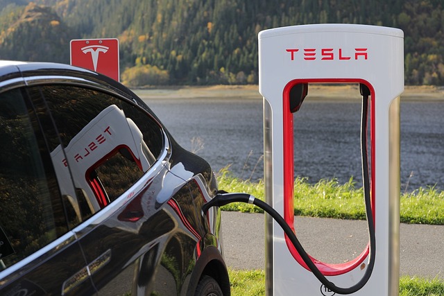 Tesla VIN Decoder Lookup