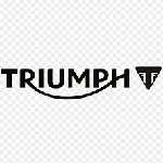 Triumph window sticker