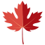 canada leaf