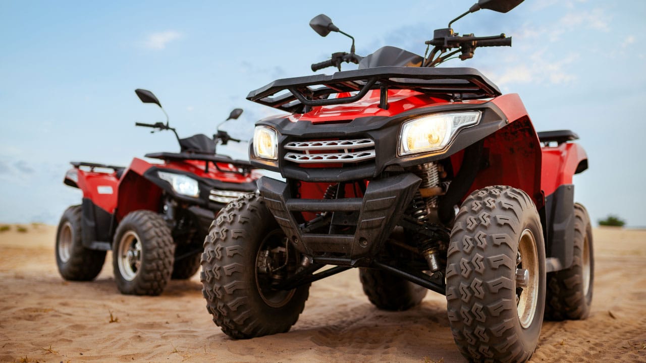 Expert ATV VIN Check