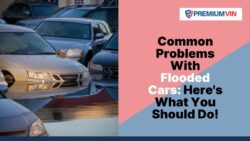 Common Problems With Flooded Cars Here's What You Should Do