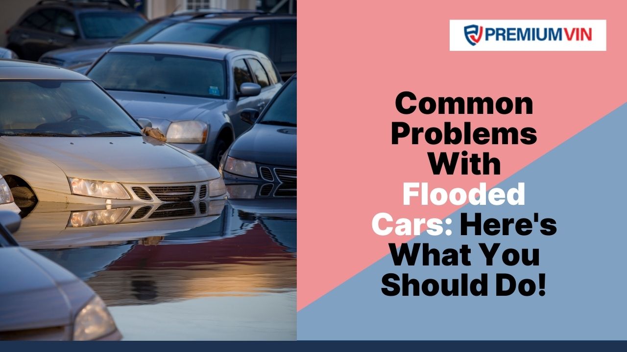Common Problems With Flooded Cars Here's What You Should Do